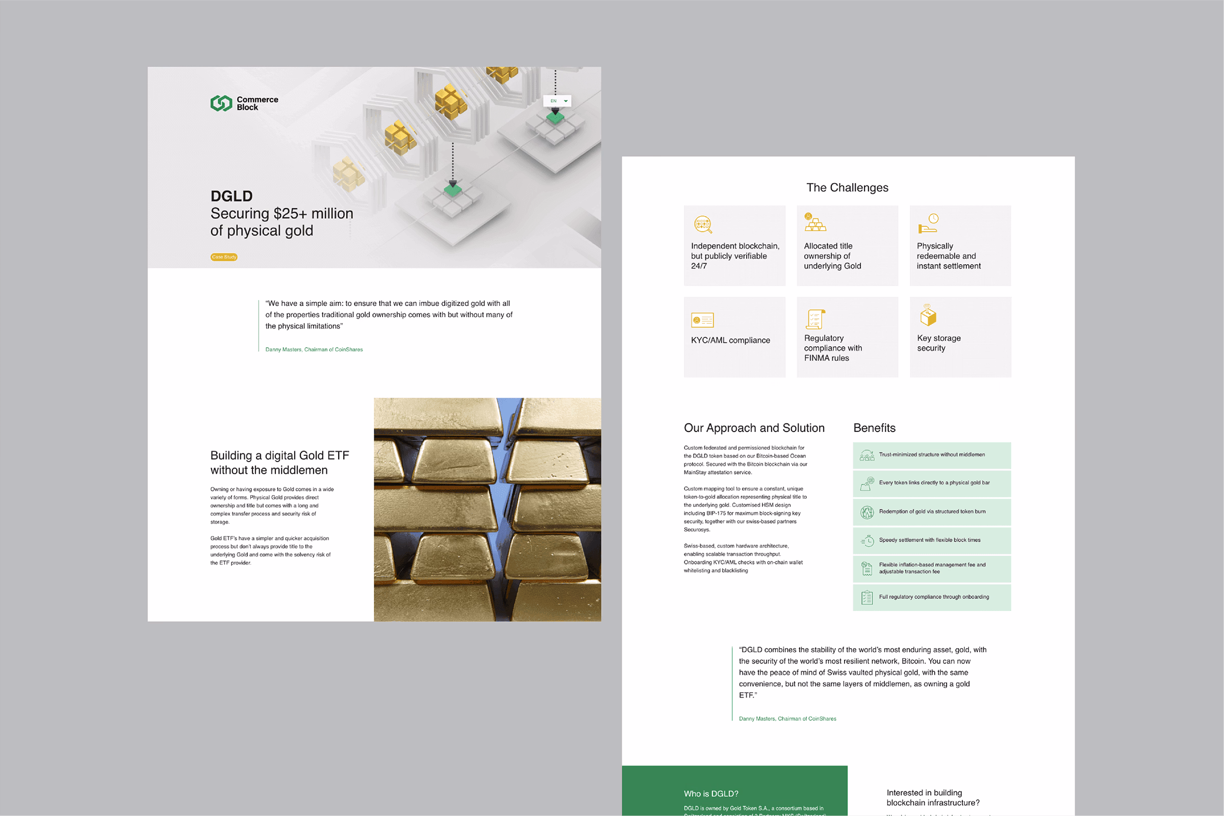 Software, www, apps project work