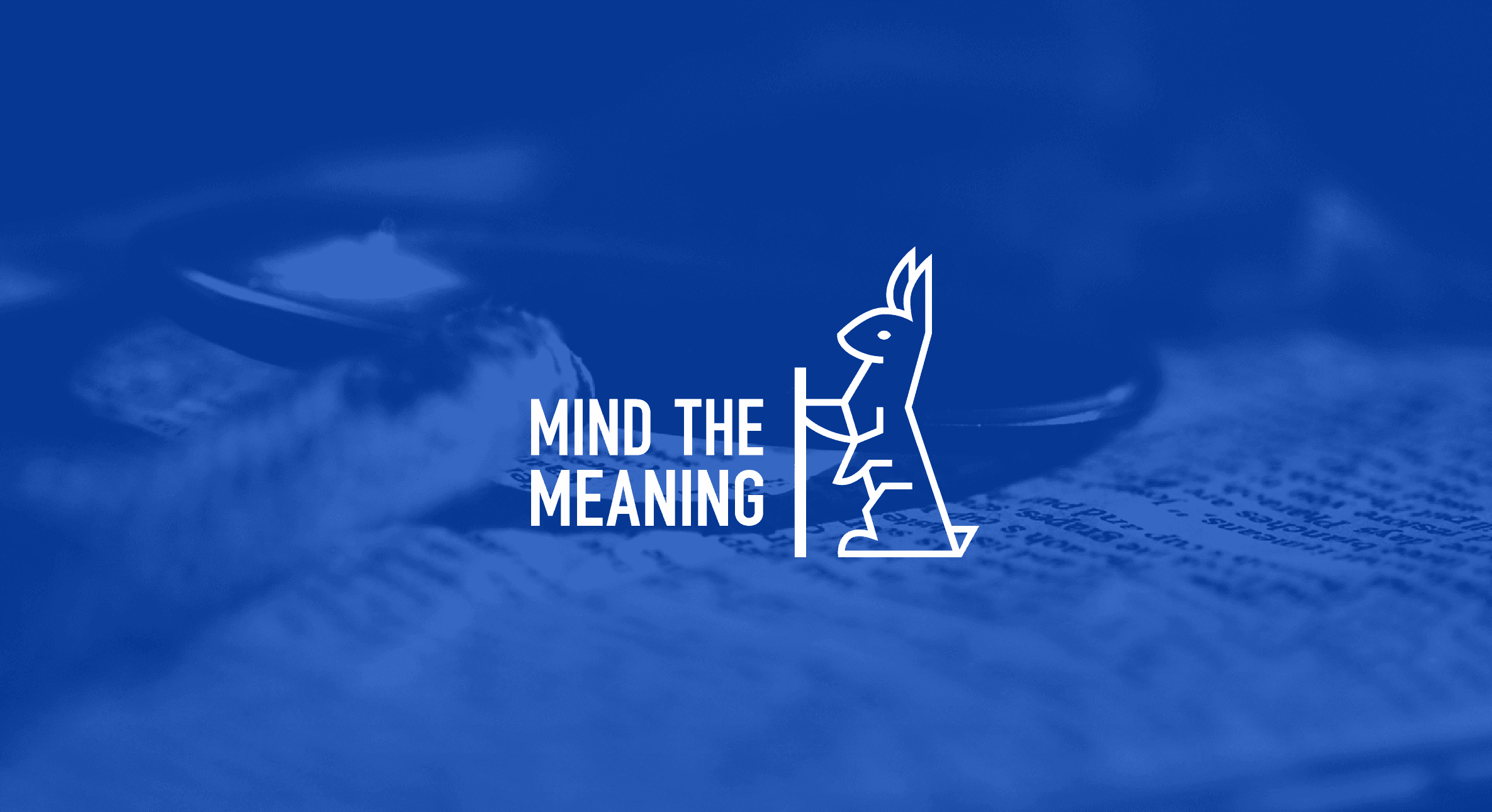 Mind the Meaning project work